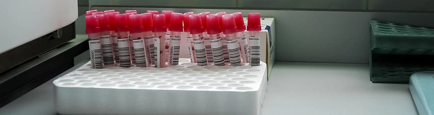 Фото: Андрей Закоморный