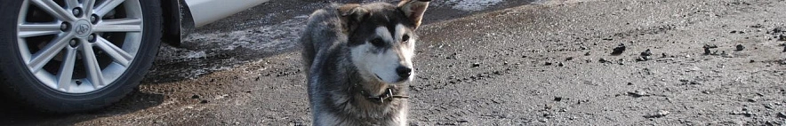 Фото: Анна Григор