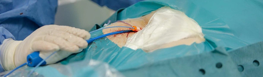 Фото: Антон Вергун