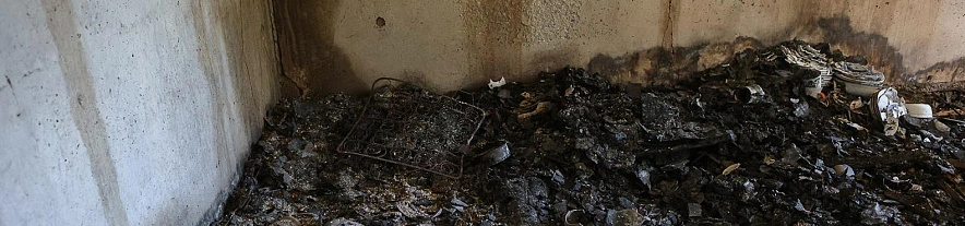 Фото: Антон Вергун