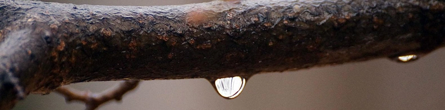 Фото: Сергей Егоров