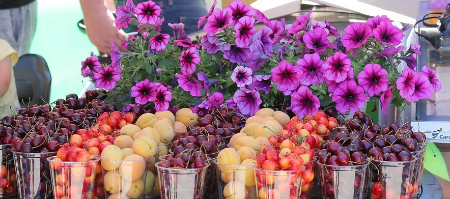 Фото: Антон Вергун