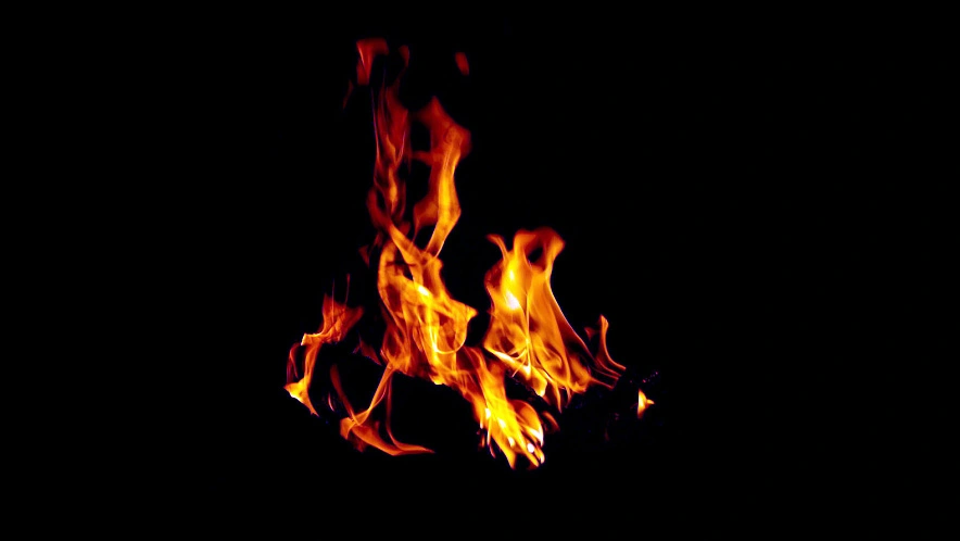 Фото: Сергей Егоров