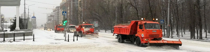 Фото: Сергей Кудрин
