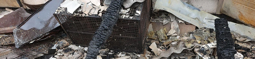 Фото: Антон Вергун