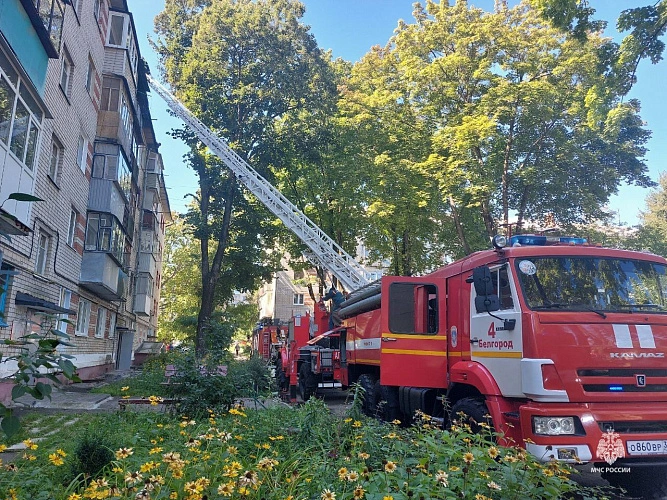 Фото: МЧС Белгородской области