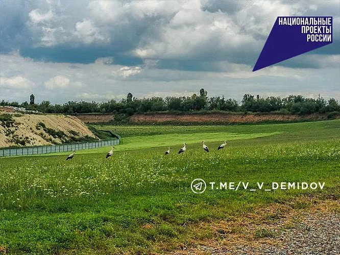 Фото: телеграм-канал Валентина Демидова