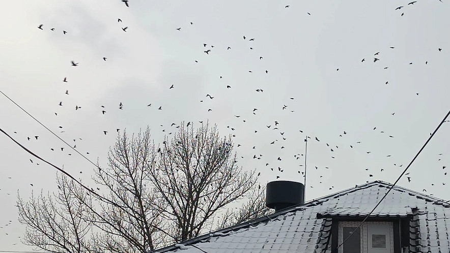 Фото: Дарья Егорова