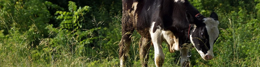 Фото: Сергей Егоров
