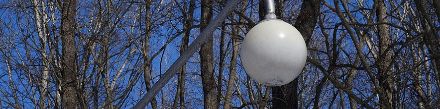 Фото: Сергей Егоров