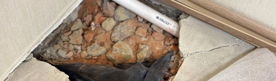 Фото: Вячеслав Гладков