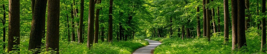 Фото: Шедеврум