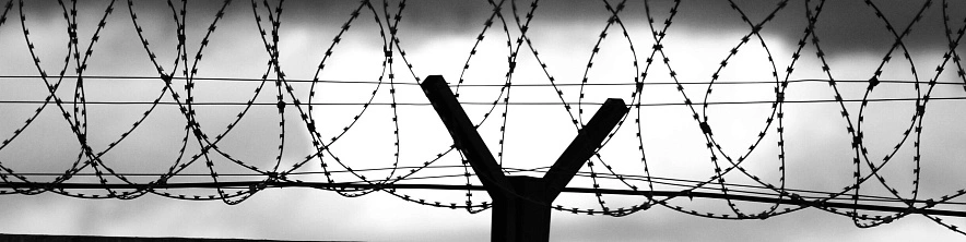 Фото: Сергей Егоров