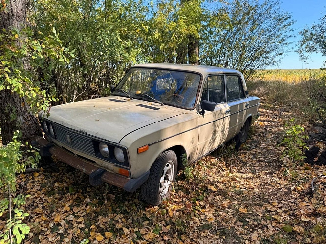 Фото: УМВД Белгородской области