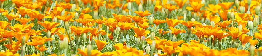 Фото: Сергей Егоров