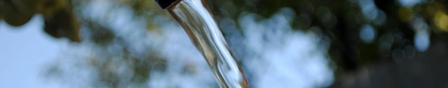 Фото: Сергей Егоров