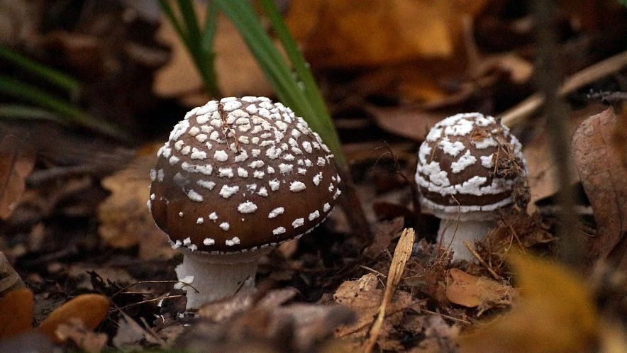 Фото: Сергей Егоров