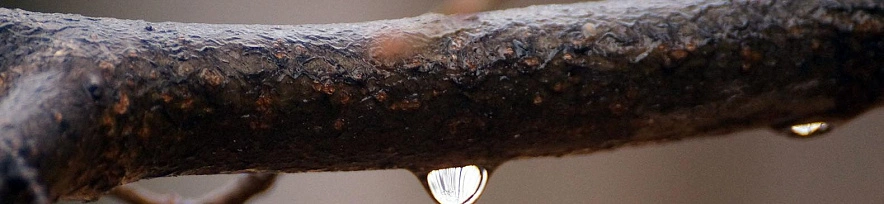 Фото: Сергей Егоров