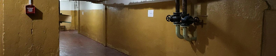 Фото: Антон Вергун