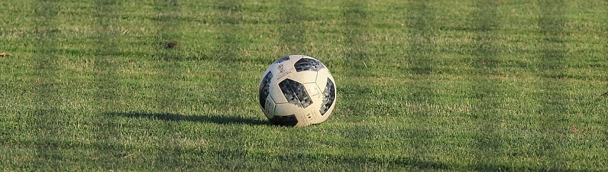 Фото: Андрей Закоморный