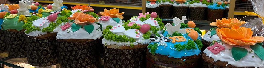 Фото: Вероника Максимова