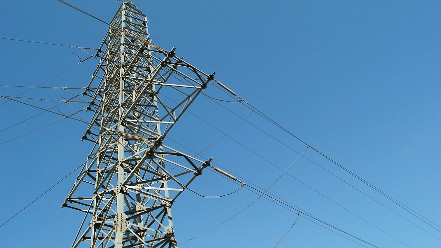 Фото: Сергей Егоров