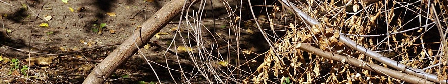 Фото: Сергей Егоров