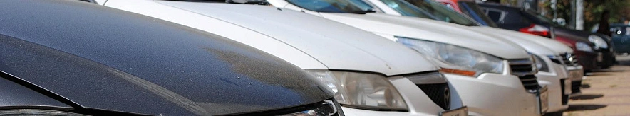 Фото: Сергей Егоров