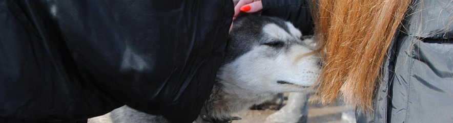 Фото: Анна Григор