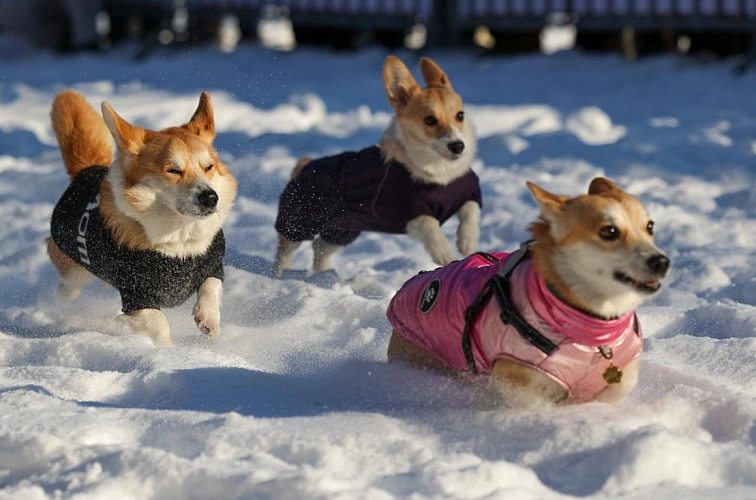 Фото: Антон Вергун