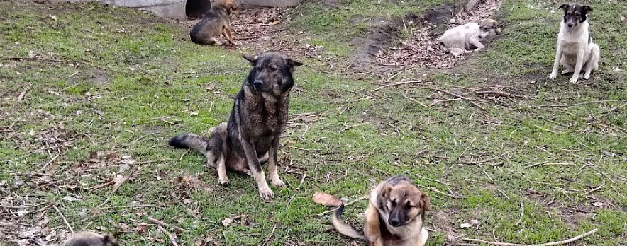 Фото: «Бел.Ру»