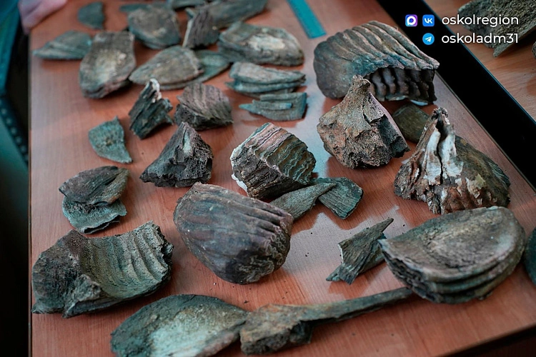 Фото: администрация Старооскольского городского округа