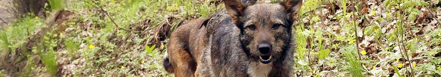 Фото: Сергей Егоров