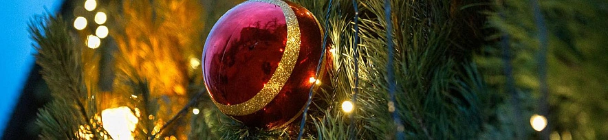 Фото: Антон Вергун