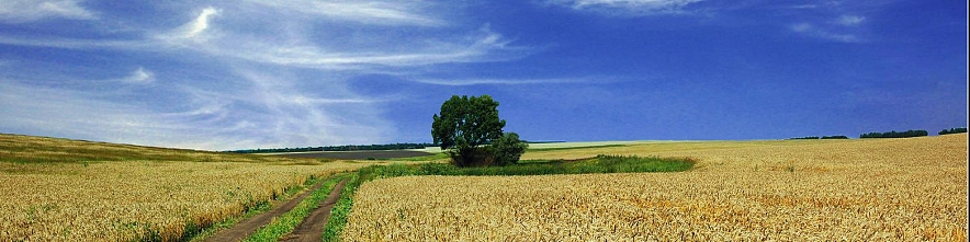Фото: Владимир Щекалов