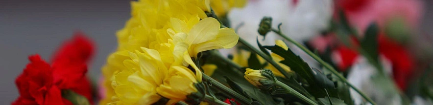 Фото: Антон Вергун