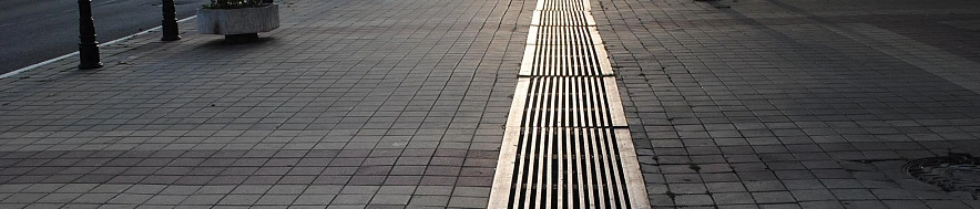 Фото: Сергей Егоров