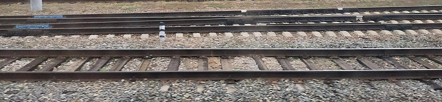 Фото: Сергей Егоров