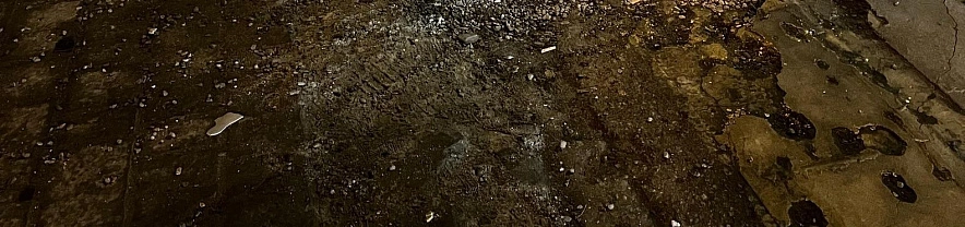 Фото: Анна Григор