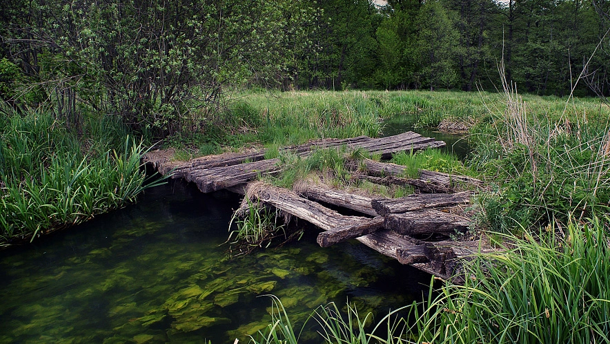 Фото: Владимир Щекалов