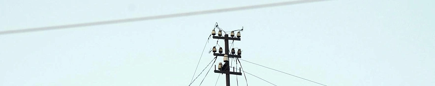 Фото: Сергей Егоров