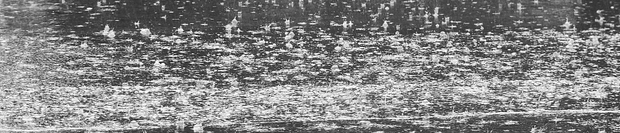 Фото: Сергей Егоров