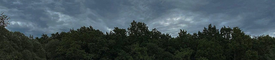 Фото: МЧС Белгородской области 