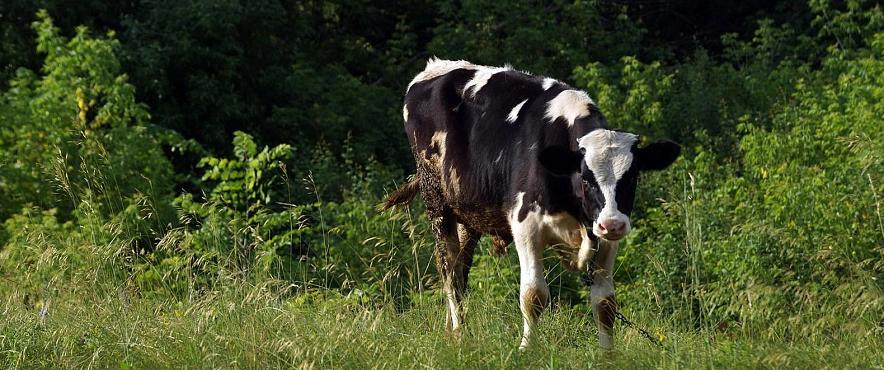 Фото: Сергей Егоров