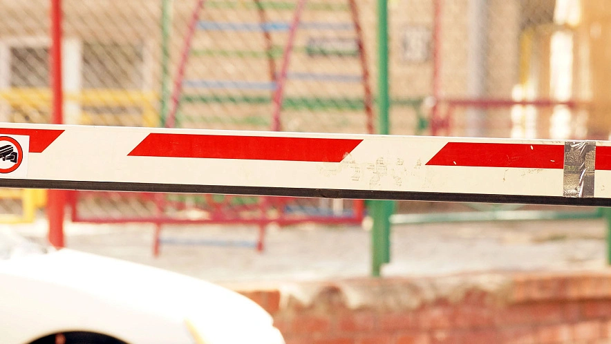 Фото: Сергей Егоров