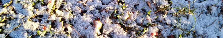 Фото: Сергей Егоров