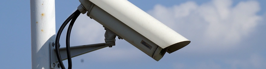 Фото: Сергей Егоров 