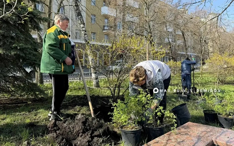 Фото: пресс-служба администрации Белгорода