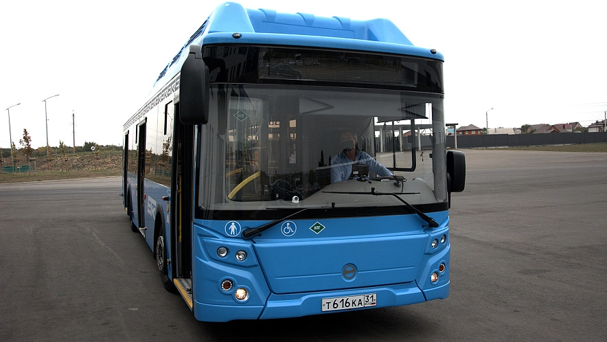 Фото: Александр Лобынцев