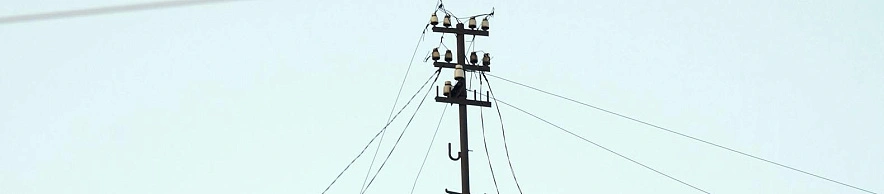 Фото: Сергей Егоров